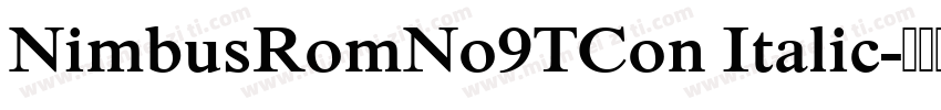 NimbusRomNo9TCon Italic字体转换